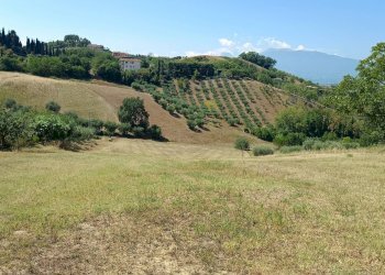 Foto 13 - Terreno edificabile strada provinciale 18
snc, Castorano - foto 13