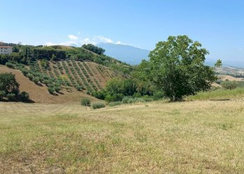 Foto 14 - Terreno edificabile strada provinciale 18
snc, Castorano - foto 14