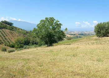 Foto 15 - Terreno edificabile strada provinciale 18
snc, Castorano - foto 15