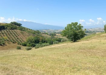 Foto 18 - Terreno edificabile strada provinciale 18
snc, Castorano - foto 18