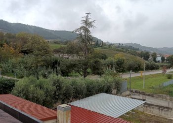 Foto 24 - Appartamento Contrada tesino
 
10, Ripatransone - foto 24