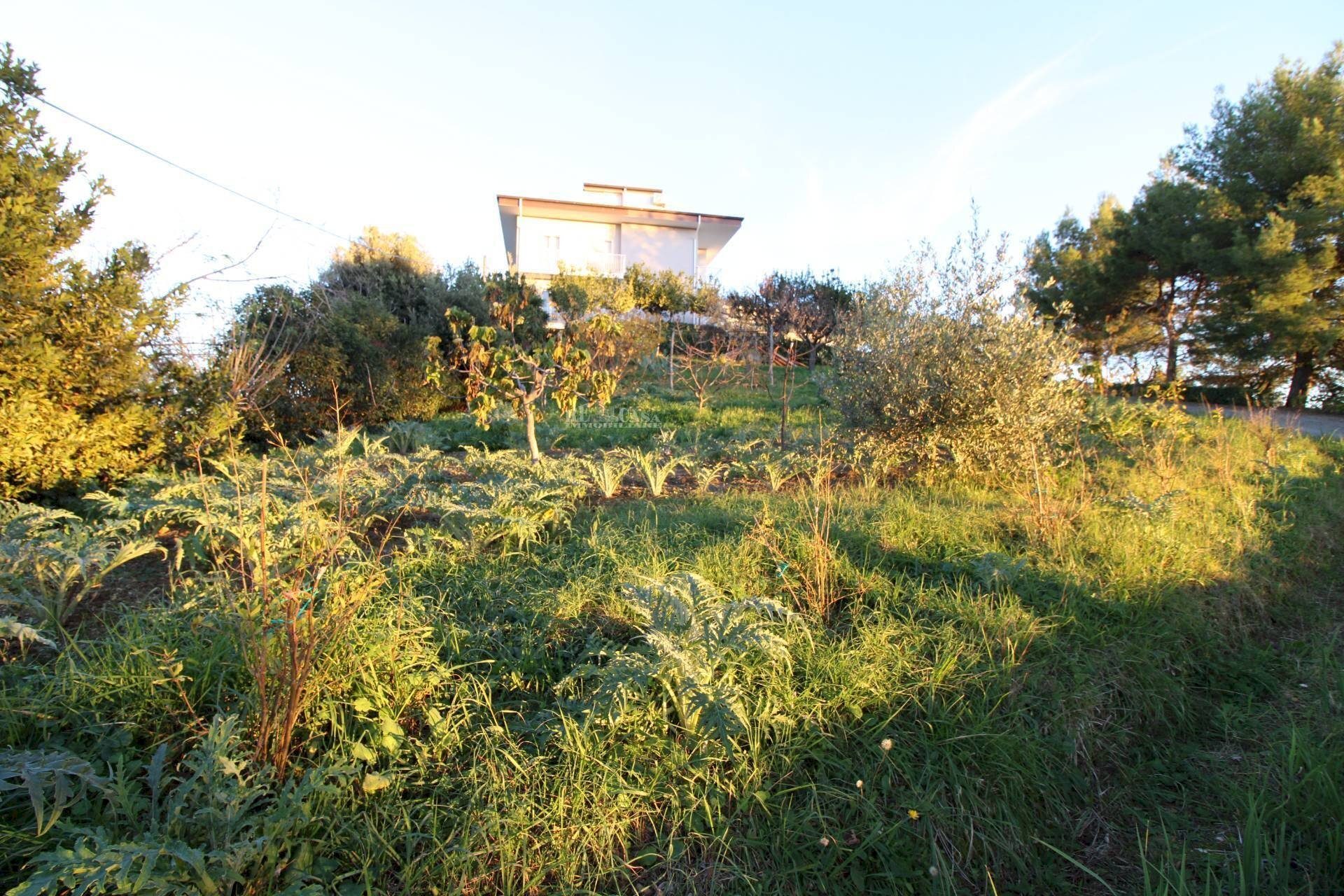 Foto 1 - Terreno edificabile fonte trufo, Massignano - foto 1