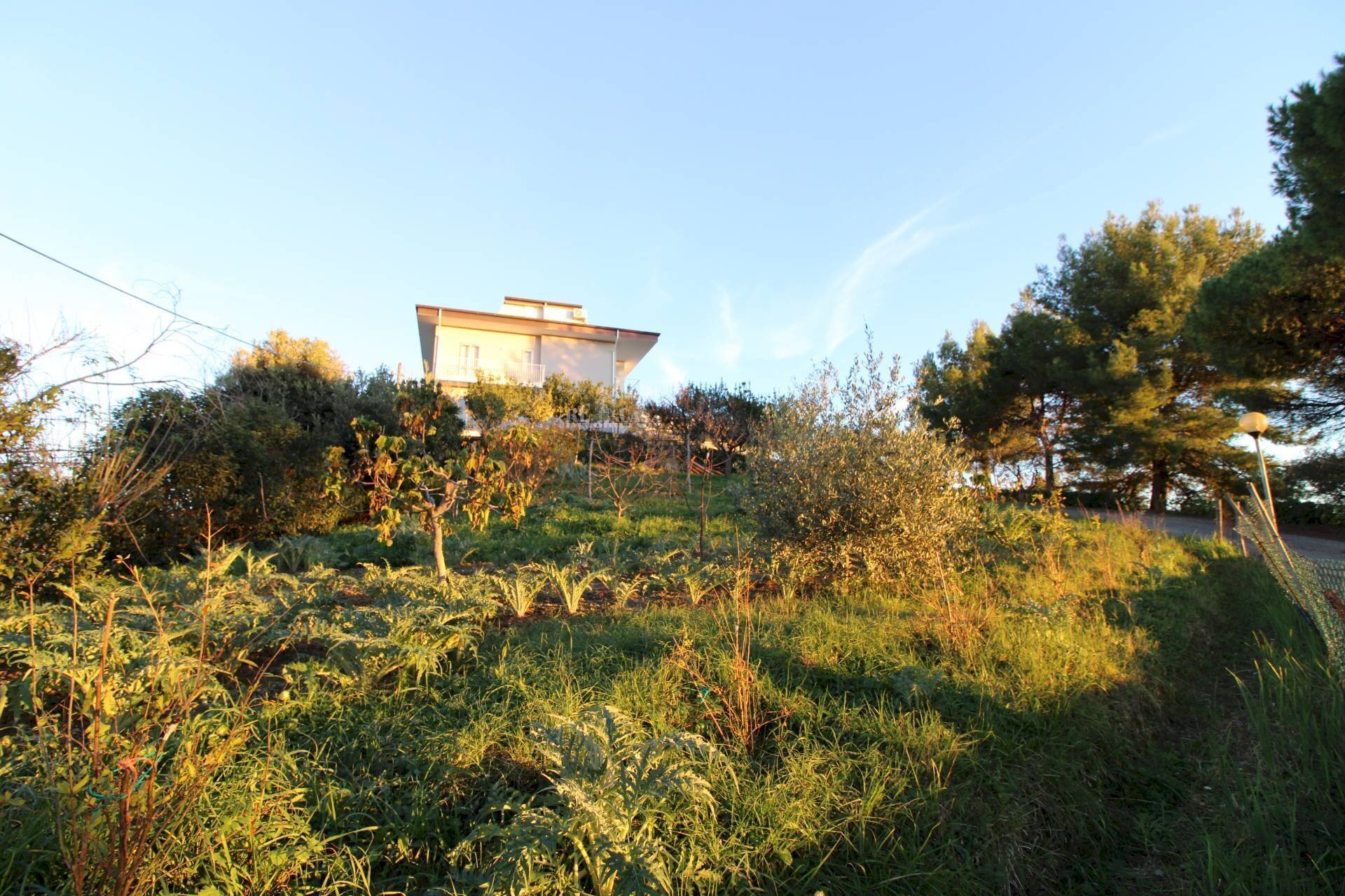 Foto 2 - Terreno edificabile fonte trufo, Massignano - foto 2