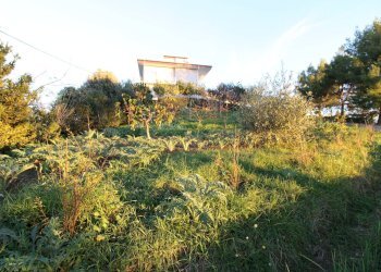 Foto 1 - Terreno edificabile fonte trufo, Massignano - foto 1