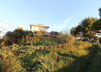 Foto 2 - Terreno edificabile fonte trufo, Massignano - foto 2