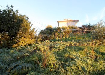 Foto 4 - Terreno edificabile fonte trufo, Massignano - foto 4