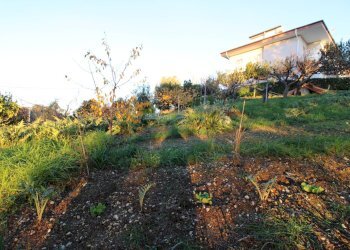 Foto 6 - Terreno edificabile fonte trufo, Massignano - foto 6