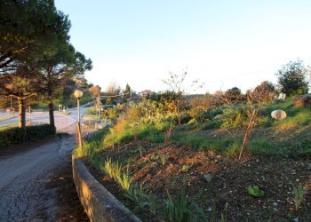 Foto 7 - Terreno edificabile fonte trufo, Massignano - foto 7