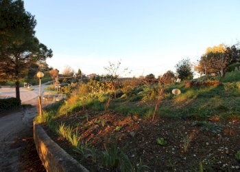 Foto 8 - Terreno edificabile fonte trufo, Massignano - foto 8