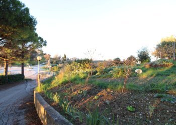 Foto 9 - Terreno edificabile fonte trufo, Massignano - foto 9