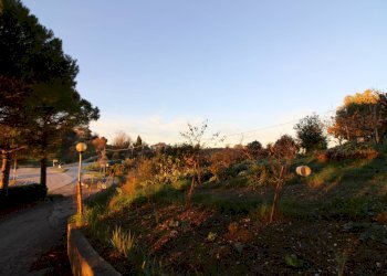 Foto 10 - Terreno edificabile fonte trufo, Massignano - foto 10