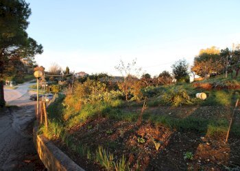 Foto 11 - Terreno edificabile fonte trufo, Massignano - foto 11