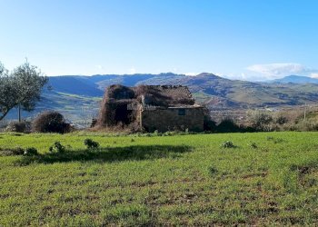 Foto 3 - Rustic contrada san pietro
 
42, Massignano - photo 3