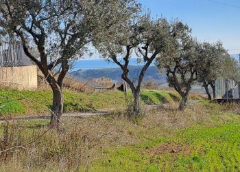 Foto 5 - Rustic contrada san pietro
 
42, Massignano - photo 5