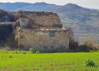 Foto 6 - Rustic contrada san pietro
 
42, Massignano - photo 6