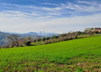 Foto 7 - Rustic contrada san pietro
 
42, Massignano - photo 7