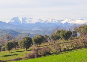 Foto 8 - Rustic contrada san pietro
 
42, Massignano - photo 8