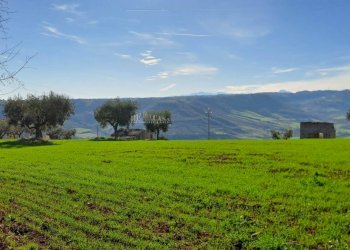 Foto 9 - Rustic contrada san pietro
 
42, Massignano - photo 9