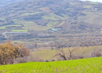 Foto 11 - Rustic contrada san pietro
 
42, Massignano - photo 11
