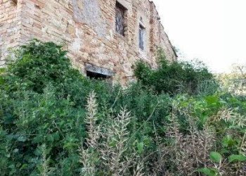 Foto 13 - Rustic contrada san pietro
 
42, Massignano - photo 13