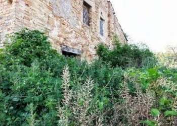 Foto 15 - Rustic contrada san pietro
 
42, Massignano - photo 15