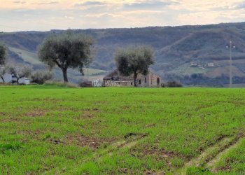 Foto 18 - Rustic contrada san pietro
 
42, Massignano - photo 18