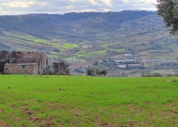 Foto 25 - Rustic contrada san pietro
 
42, Massignano - photo 25