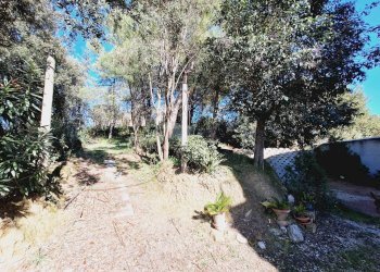 Foto 36 - Independent house via dell'olmo, Castorano - photo 36