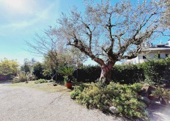 Foto 37 - Independent house via dell'olmo, Castorano - photo 37