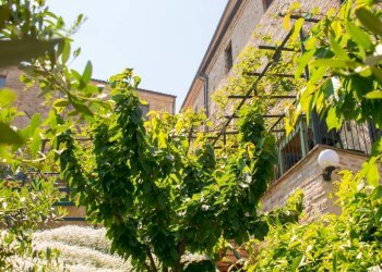 Foto 34 - Hotel via castello
 
55, Cupra Marittima - foto 34