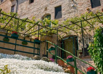 Foto 37 - Hotel via castello
 
55, Cupra Marittima - foto 37