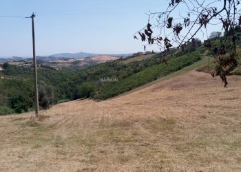 Foto 47 - Independent house Contrada rocchetta
 
snc, Castorano - photo 47