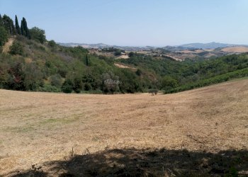 Foto 53 - Independent house Contrada rocchetta
 
snc, Castorano - photo 53