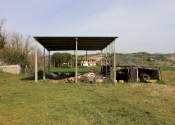 Foto 4 - Independent house contrada tesino
 
45, Offida - photo 4