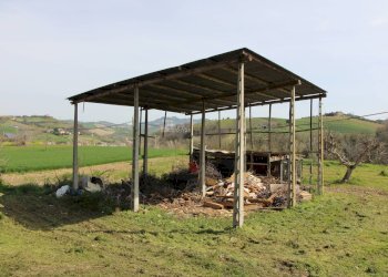 Foto 9 - Independent house contrada tesino
 
45, Offida - photo 9