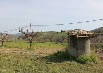 Foto 10 - Independent house contrada tesino
 
45, Offida - photo 10