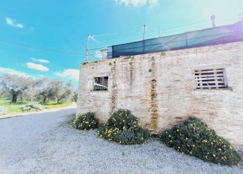 Foto 15 - Rustico contrada samt'egidio, Monsampolo del Tronto - foto 15