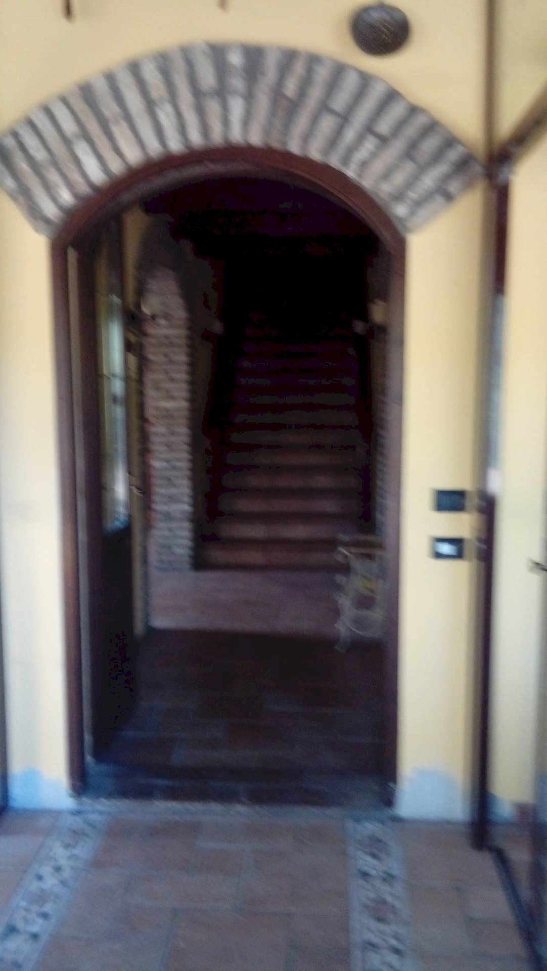 Foto 2 - Attività Commerciale VIA FAGETO, Cesena - foto 2