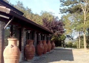 Foto 24 - Attività Commerciale VIA FAGETO, Cesena - foto 24