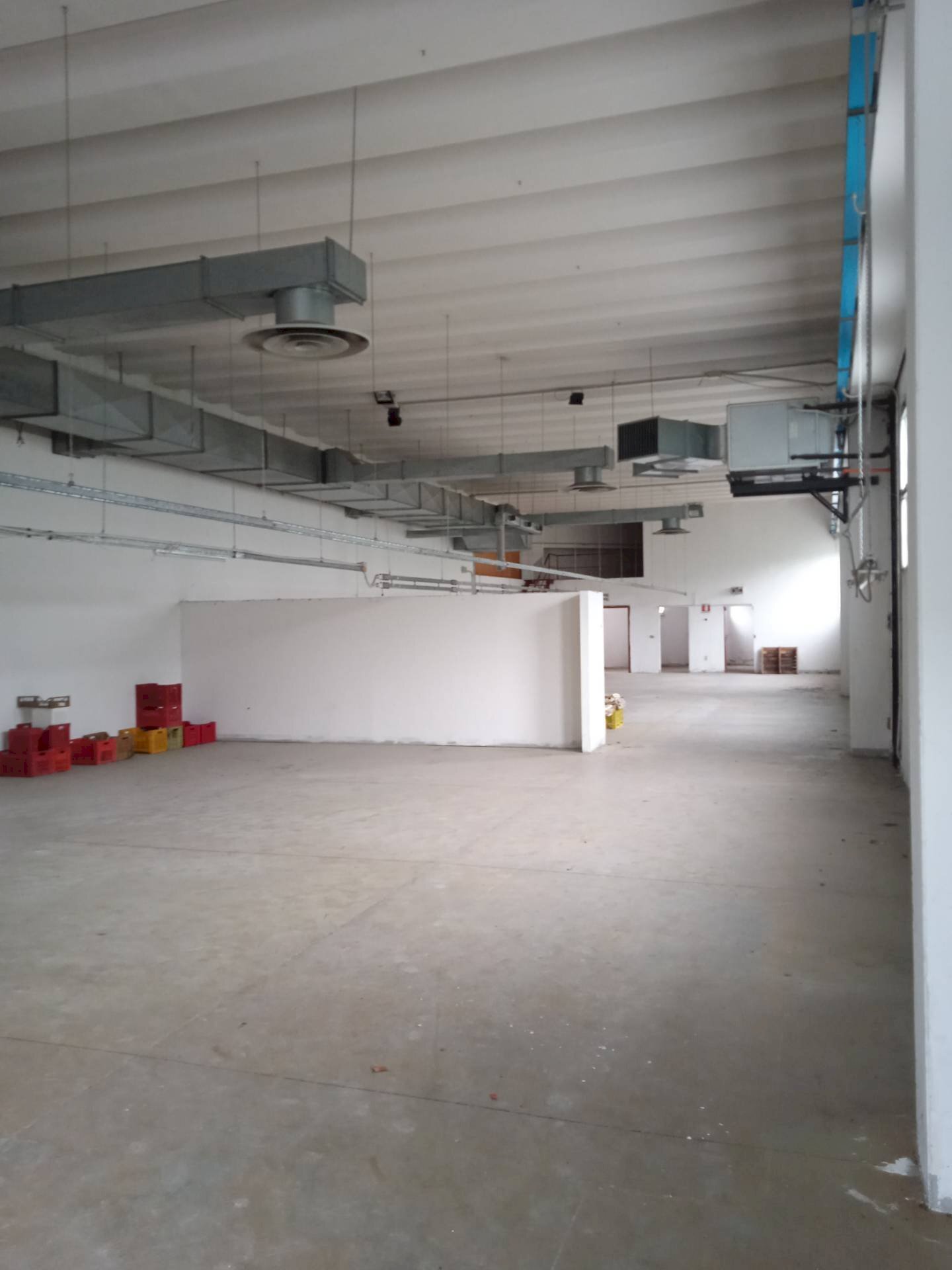 Foto 1 - Capannone via Torre, San Mauro Pascoli - foto 1