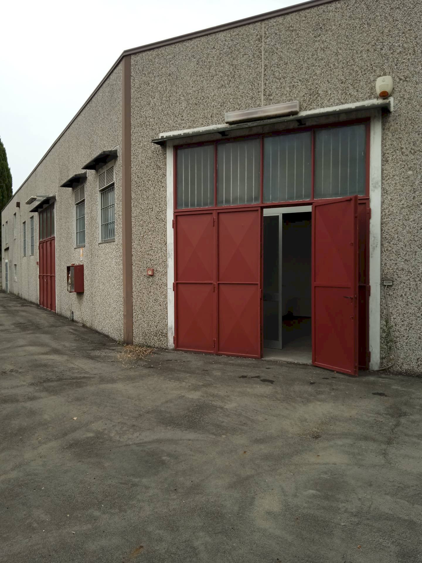 Foto 2 - Capannone via Torre, San Mauro Pascoli - foto 2