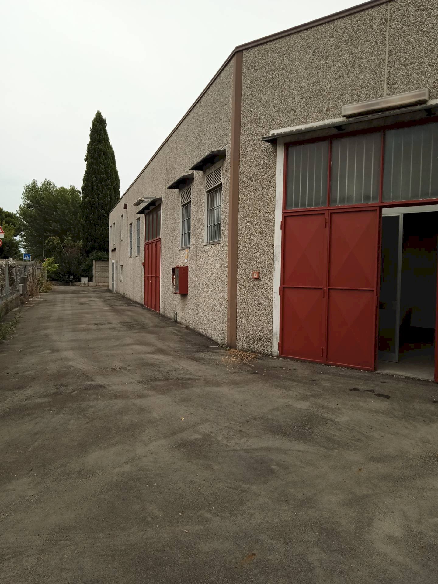 Foto 3 - Capannone via Torre, San Mauro Pascoli - foto 3