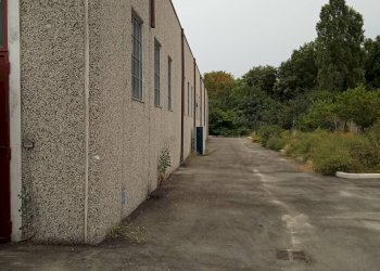 Foto 5 - Capannone via Torre, San Mauro Pascoli - foto 5