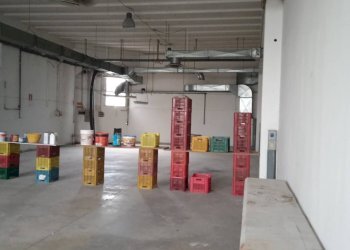 Foto 8 - Capannone via Torre, San Mauro Pascoli - foto 8