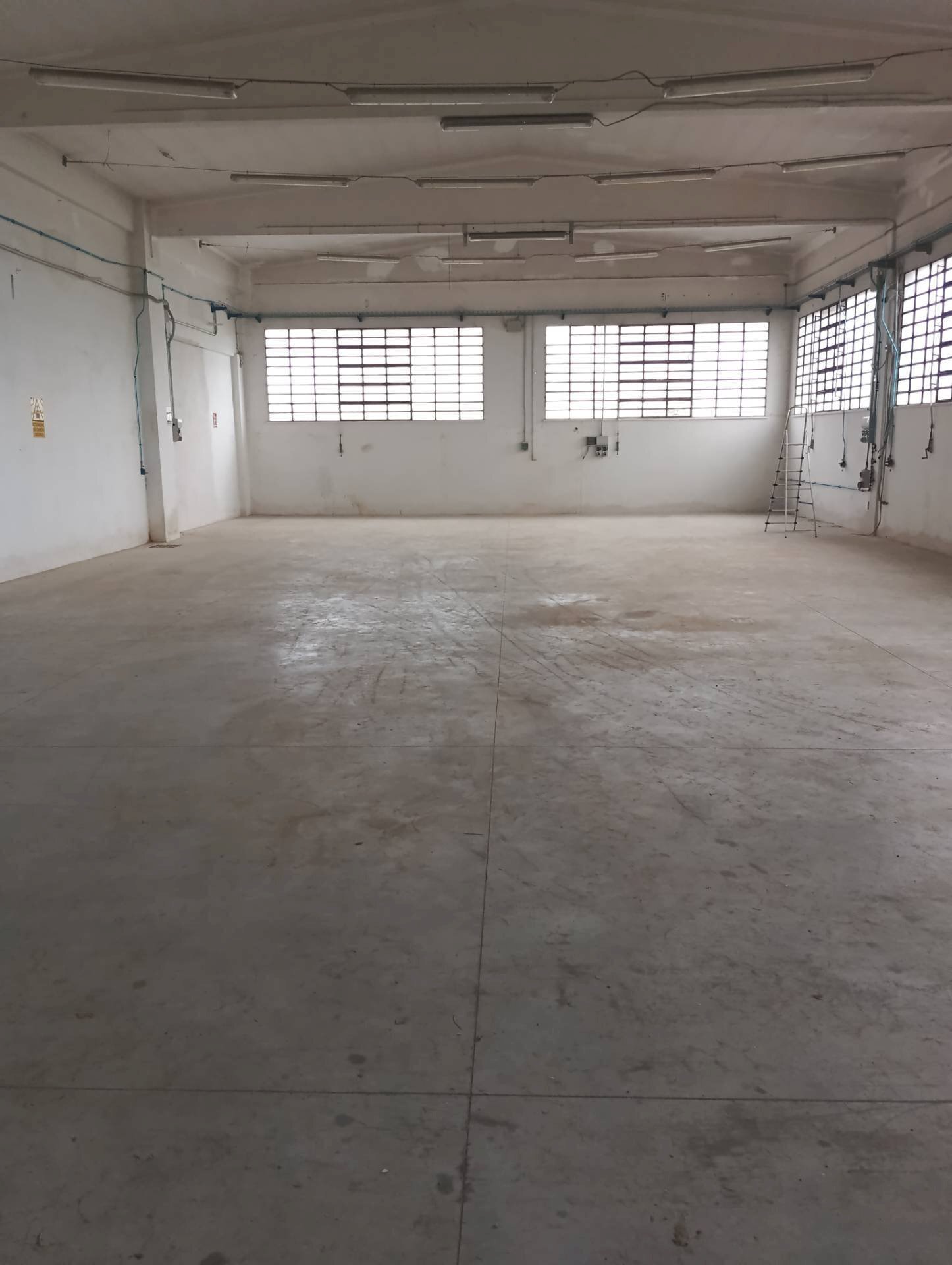 Foto 3 - Capannone via Bellaria nuovo, San Mauro Pascoli - foto 3