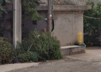 Foto 5 - Casa indipendente C.da Materna
 
18, Collecorvino - foto 5