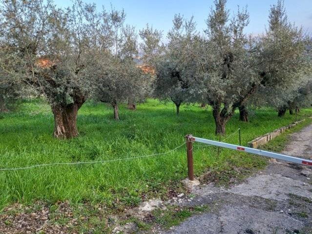 Foto 1 - Building land Via De Gasperi, Montesilvano - photo 1