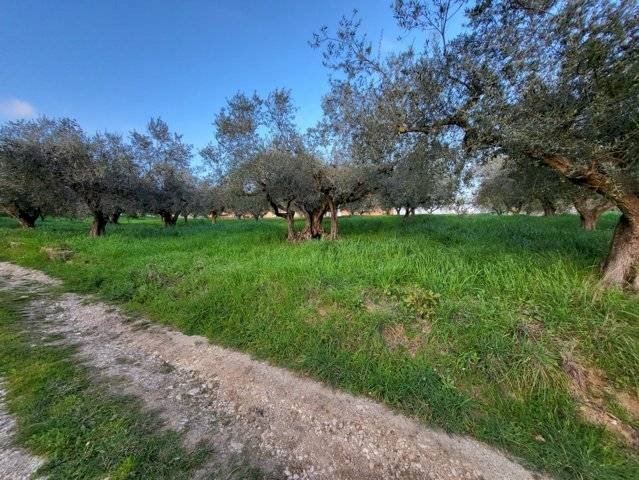 Foto 2 - Building land Via De Gasperi, Montesilvano - photo 2