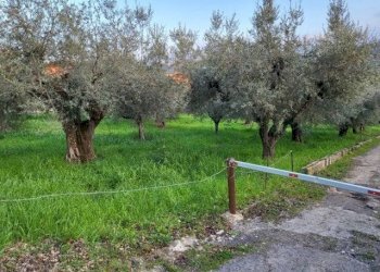 Foto 1 - Building land Via De Gasperi, Montesilvano - photo 1