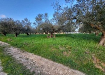 Foto 2 - Building land Via De Gasperi, Montesilvano - photo 2